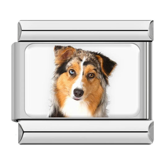 Charm Collie - Italian Charms