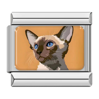 Charm Gato - Italian Charms